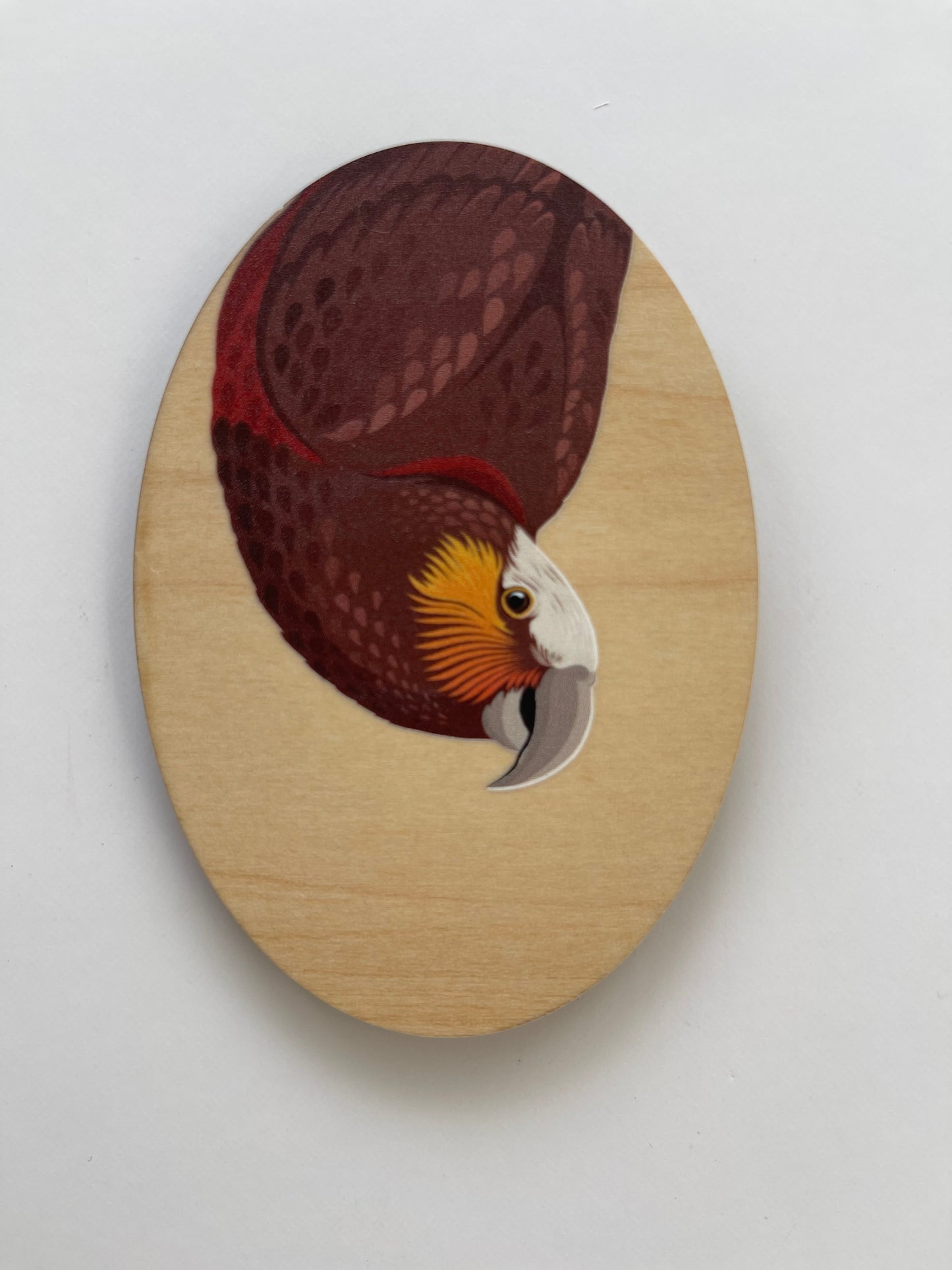 Wood Magnets