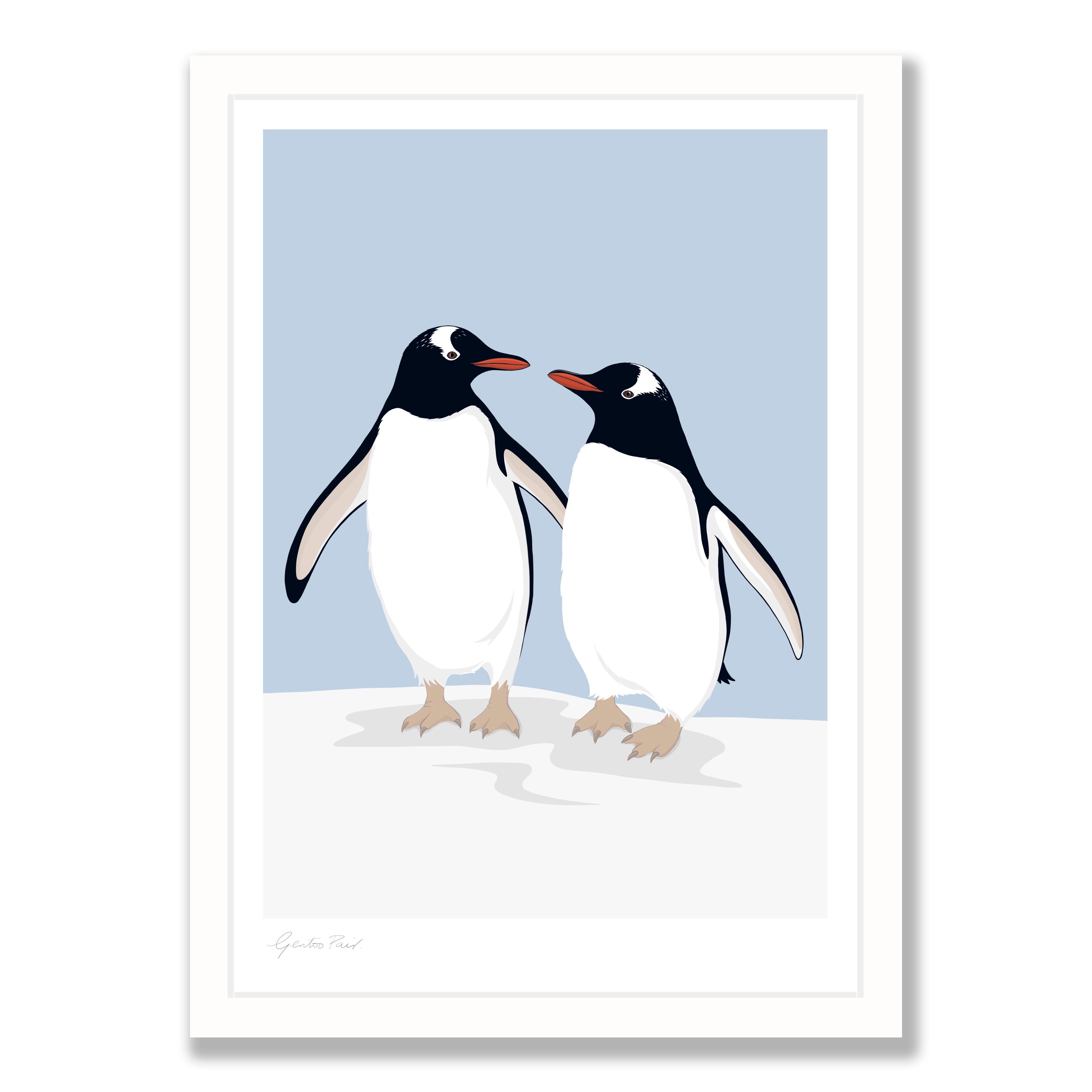 NZ Gentoo Penguin fine art print - Hansby Design