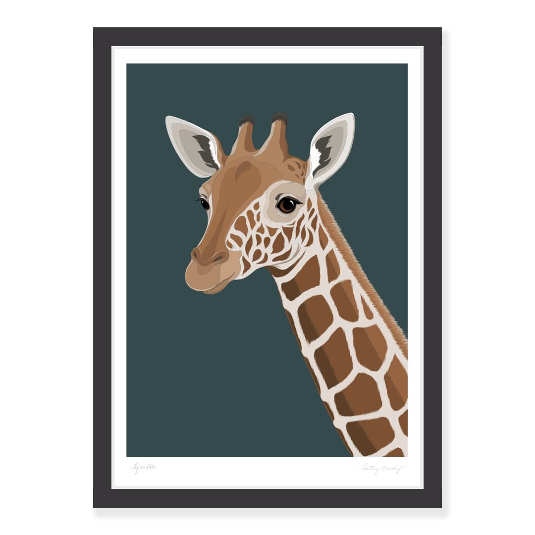 Black framed art print of the Giraffe with deep teal background by NZ artist Hansby Design 