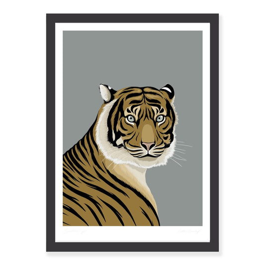 Sumatran Tiger