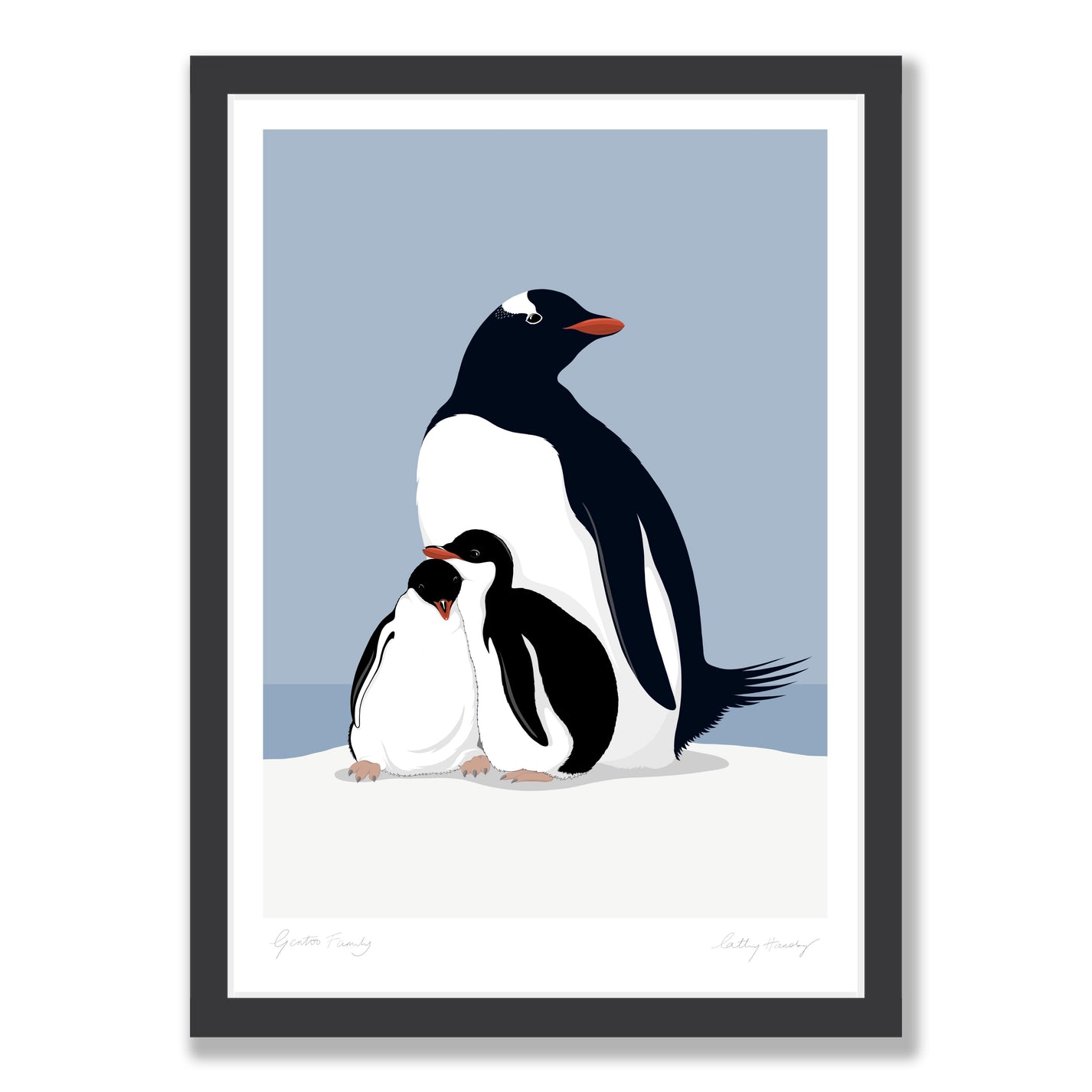 NZ Gentoo Penguin fine art print - Hansby Design