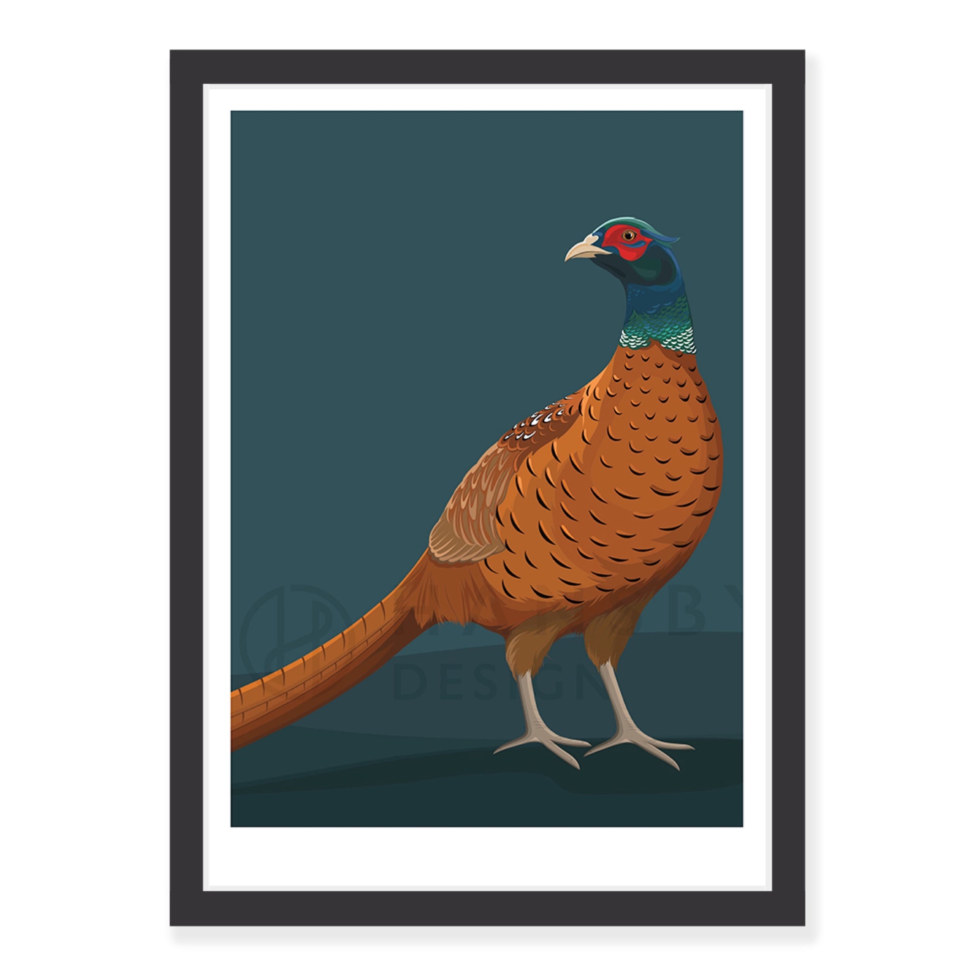 Pheasant art print in black frame, by NZ artist Hansby Design